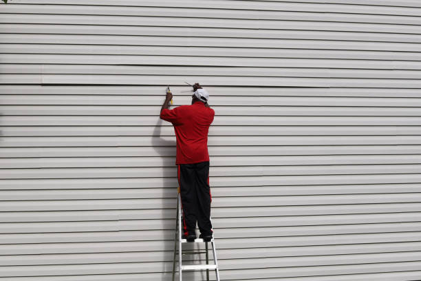 Best Stone Veneer Siding  in Van Meter, IA