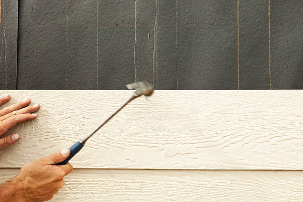 Best Brick Veneer Siding  in Van Meter, IA